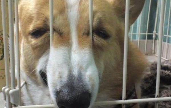 смешные картинки,прикольные картинки