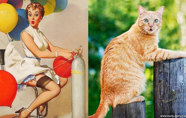 Коты в позах пин-ап девушек с ретро-плакатов, Cats That Look Like Pin Up Girls