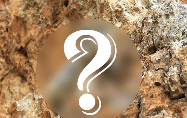 Ili Pika, волшебный кролик, редкий кролик