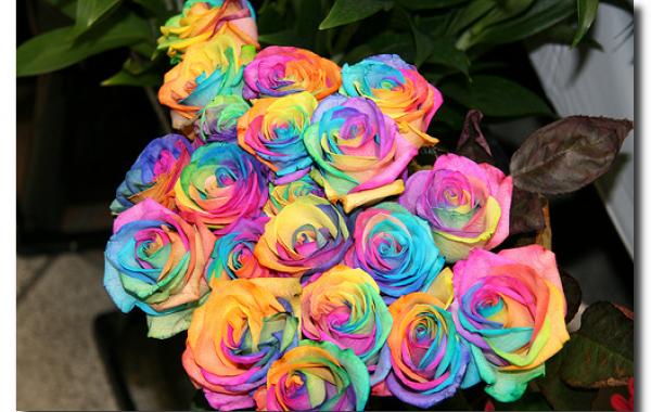 Самые дорогие цветы в мире