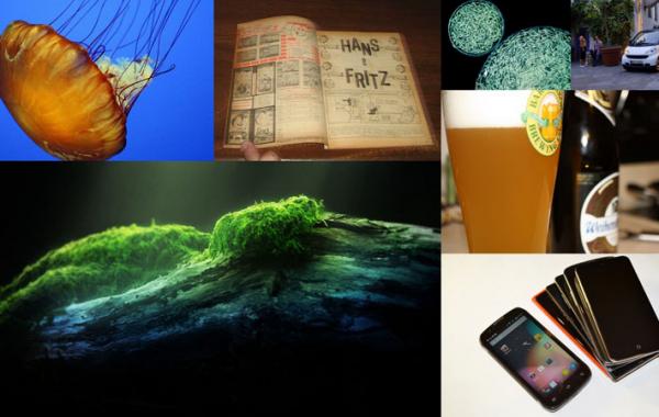 Самые живуче, долгие, продолжительные, реклама