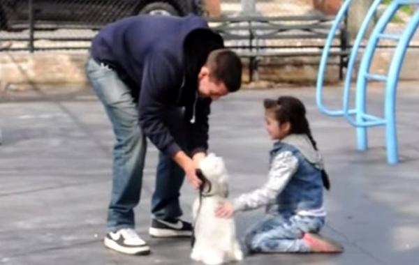 Джо Саледс, Joey Salads, похищение ребёнка эксперимент 