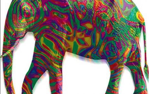 cумасшедшие опыты проводимые над животными