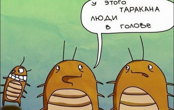 в параллельной вселенной