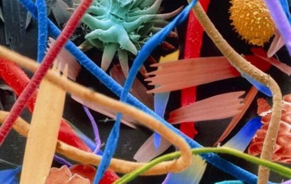 Необычный вид привычных вещей под микроскопом