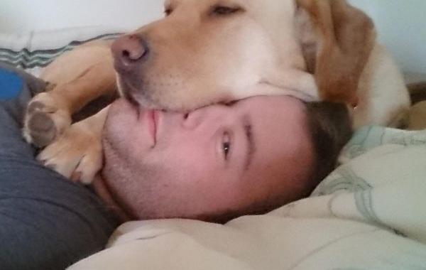 животные не знают что такое личное пространство, животные нарушающие личное пространство, животные залазят на других, животные сидят на других животных