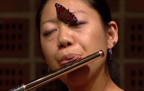 Десятка смешных и интереснейших коротких видео, которые должен увидеть каждый IV