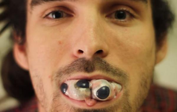 10 животных, которых люди едят заживо