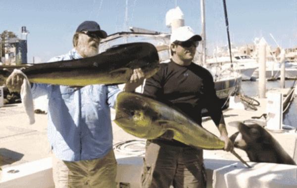 35 уморительных хулиганов из мира животных