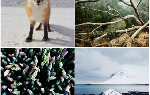 Впечатляющие фотографии победителей конкурса IPhone Photography Awards