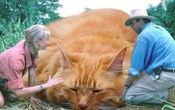 коты вместо динозавров, парк юрских котиков, кошки вместо динозавров