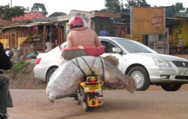 странности на дорогах, странности в пути, чудаки на дороге