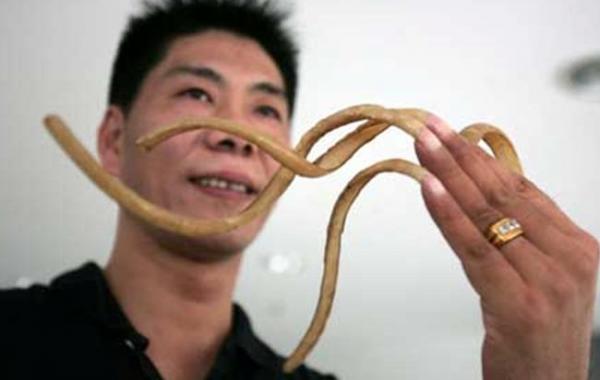 познавательные факты обо всём на свете, спорим вы не знали