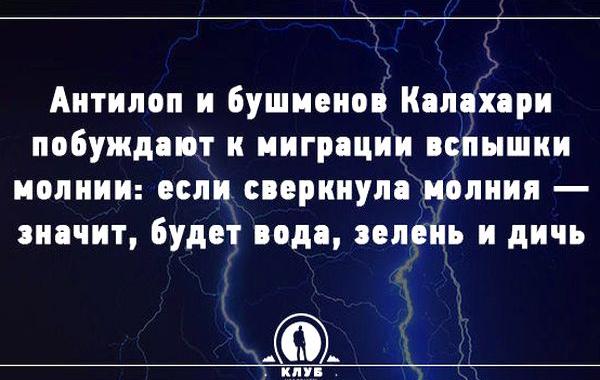 факты о мире, факты о нашей планете