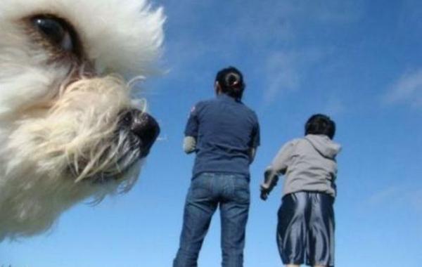 Герои второго плана или как правильно испортить фотографию