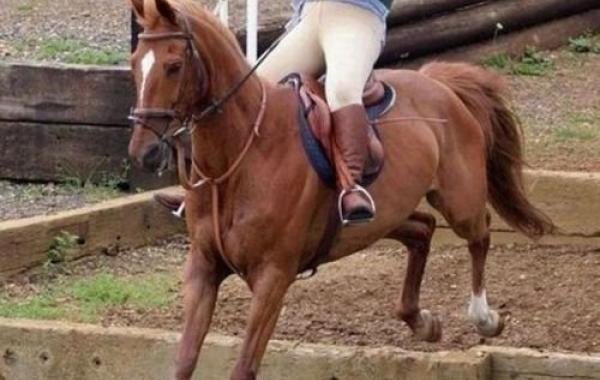 за секунду до остановись мгновение 