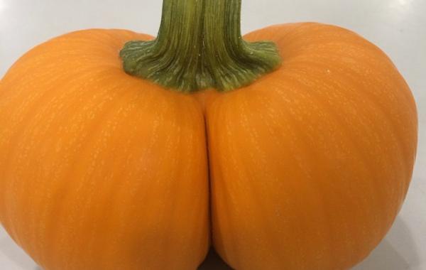 27 абсолютно разных вещей, которые выглядят как зaдницa