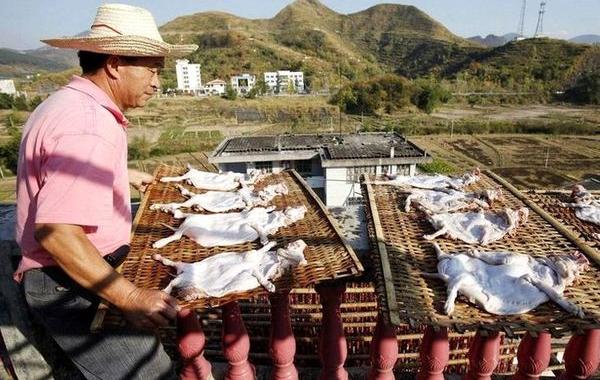 национальные особенности жителей Китая, всё о китайцах