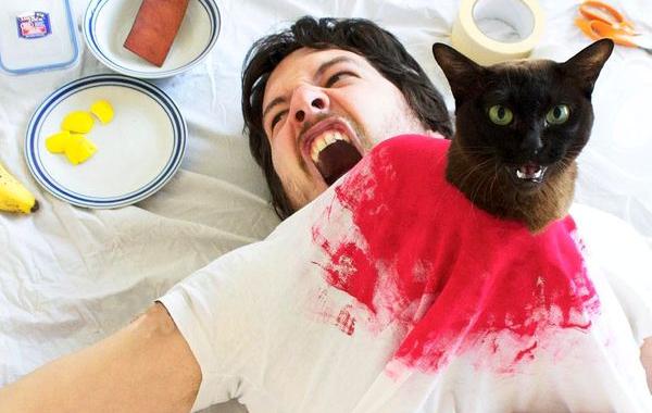 Парень и его кошка воссоздают сцены из известных фильмов, Дэвид и Сара