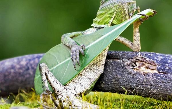 без фотошопа, природные снимки без фотошопа март 2015, без использования фотошопа