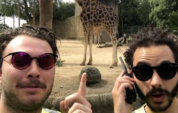  парни бесплатно прошли надев светоотражающие жилеты,  Дэвид Аллегретти и Шон