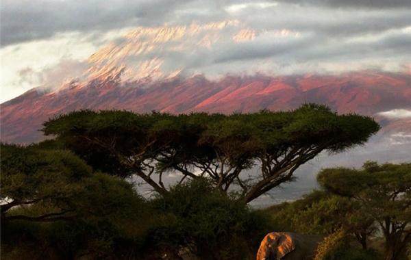 Эта удивительная Кения