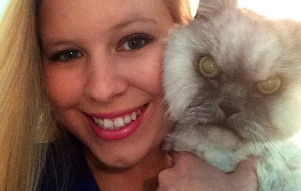 злой кот, злобный кот, кот со злым взглядом