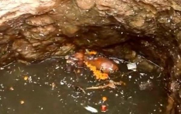 Спасание собаки, упавшей в колодец, Индия