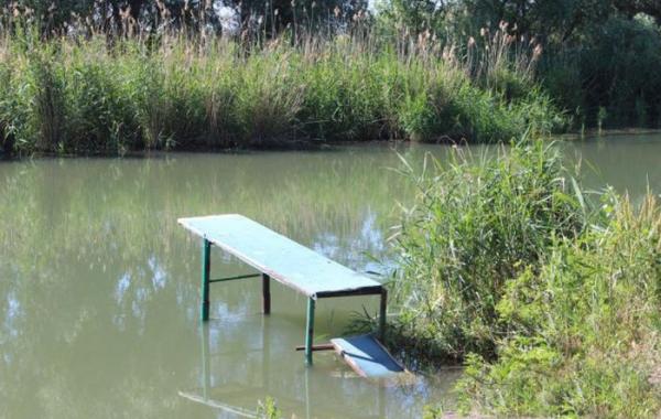 Российские дачники своими руками превратили поросший берег реки в пляж