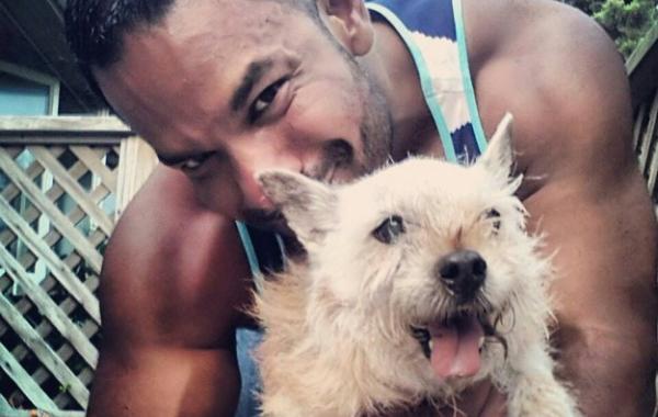 Последнее приключение для любимой умирающей собаки