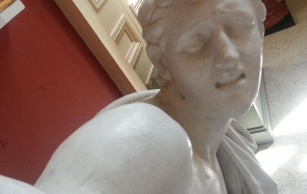 Все делают селфи.. и даже статуи