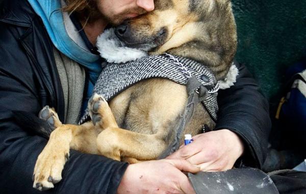 Фотографии, доказывающие, что собаки любят вас независимо от того, сколько у вас денег