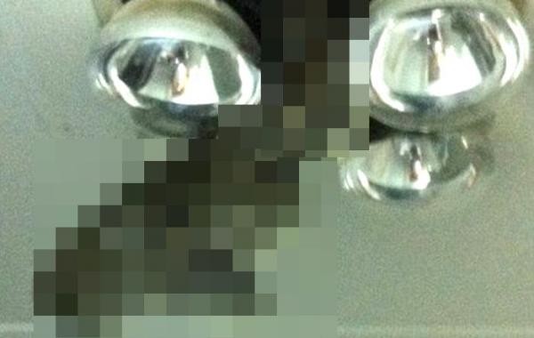 Неожиданный гость, который может оставить заикой на всю жизнь