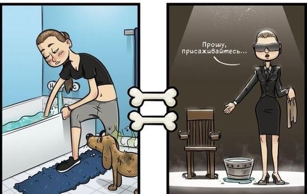 Как выглядит мир глазами собаки, мир глазами собаки