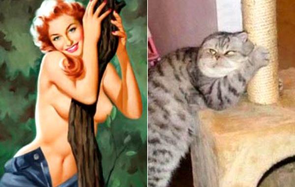 пинап плакаты и кошки, сравнение пинап с кошками, пинап и кошки в одинаковых позах