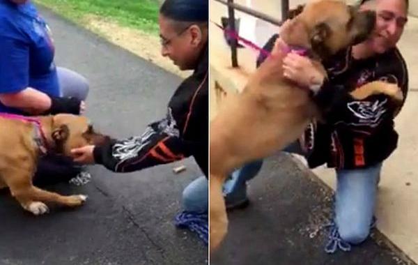 хозяин нашел собаку спустя два года, собака встретилась с хозяином через 2 года