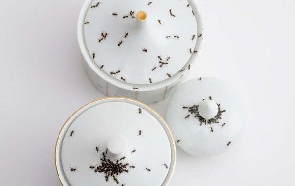 посуда с реалистичными муравьями, муравьи нарисованные на посуде