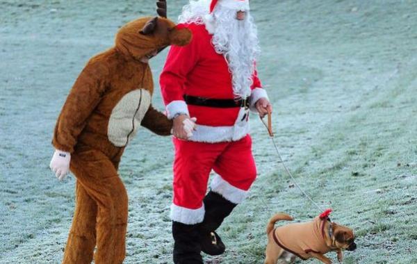 Чем отличается Дед Мороз от Санта Клауса