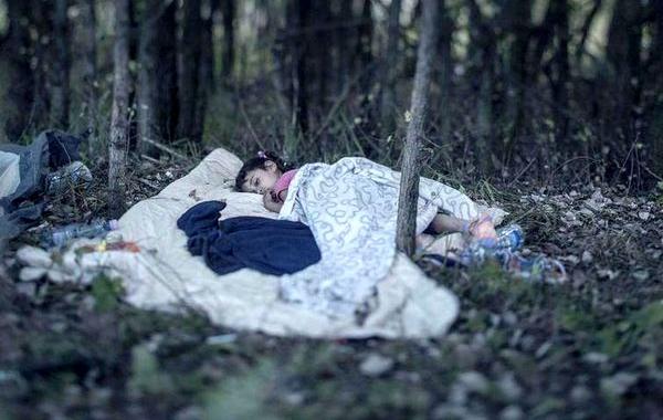 где спят дети беженцы, где спят сирийские дети беженцы, Where The Children Sleep, Магнус Веннман, Magnus Wennman