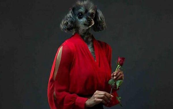 Айзек Альварес, Isaac Alvarez, собак и владельцев объединить в одно, Reflection of Me