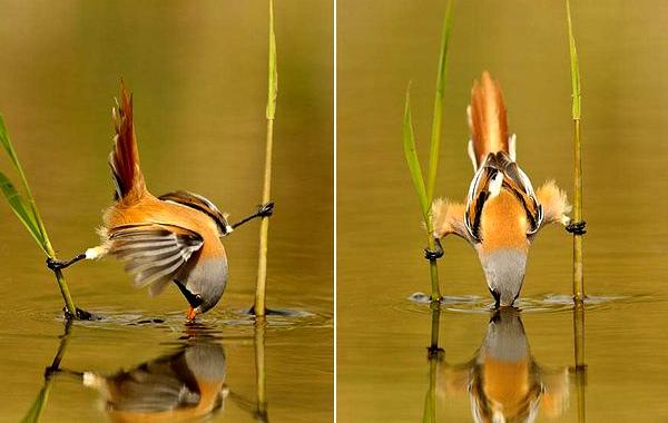 фотографии без фотошопа, мир без фотошопа