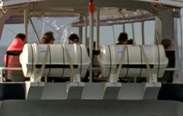 туристы пропустили кита смотрели не в ту сторону, искатели китов смотрели не в ту сторону,