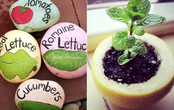 идеи для дачи, дача лайфхаки, хитрости для дачи