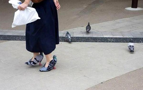 голубиные туфли, туфли в виде голубей