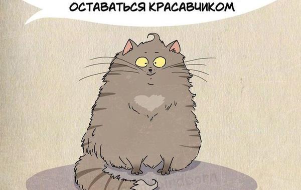 Чему нам стоит поучиться у кошек, 1 марта день кошек, Bird Born