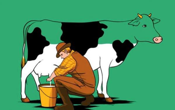 Flying mouse 365, Остроумные иллюстрации, оптические иллюзии