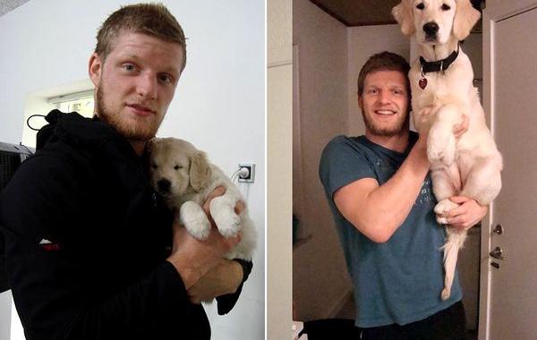 собаки тогда и сейчас, щенок и взрослая собака