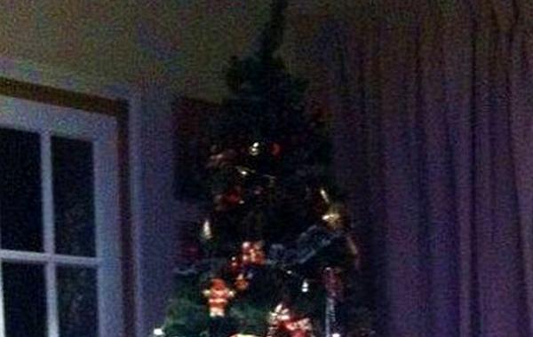 елка более 240 подарков, купила детям по 80 подарков, 