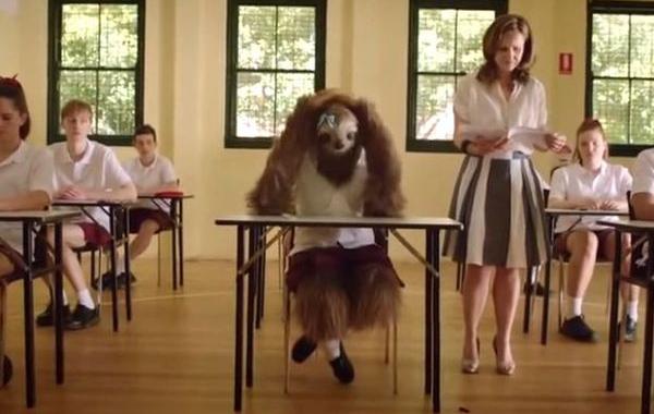 Stoner sloth, накуренный ленивей, заторможенный ленивец