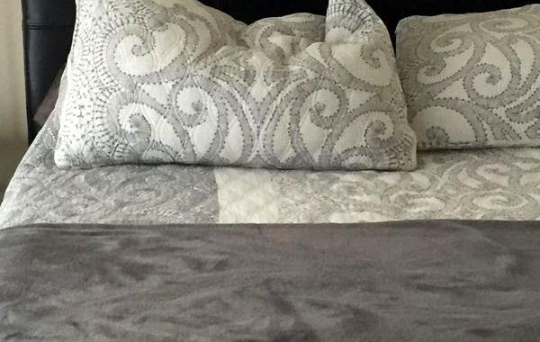 собака ниндзя, найти собаку на фото, черная собака на чёрном фоне